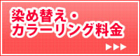 染め替え・カラーリング料金
