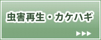 虫害再生・カケハギ